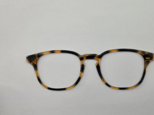 Opie - brown tort - READY TO SHIP