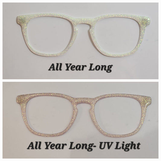 Light Sensitive All Year Long Magnetic Eyeglasses Topper