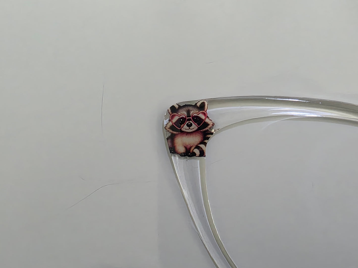 Racoon and Clear Magnetic Topper